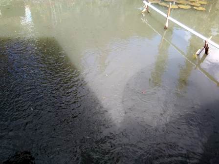 Pemdes Kubang Tangah, Sawahlunto Lakukan Pembinaan SejumlaH Kelompok Usaha Guna Meningkatkan Sektor Perekonomian 1 6a48e9d3 77a4 4414 8d86 c8723d29a5a4 1