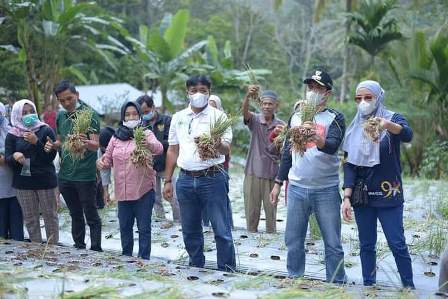 2e2b669c dc86 4c8c 9adf 7c85eeae0298