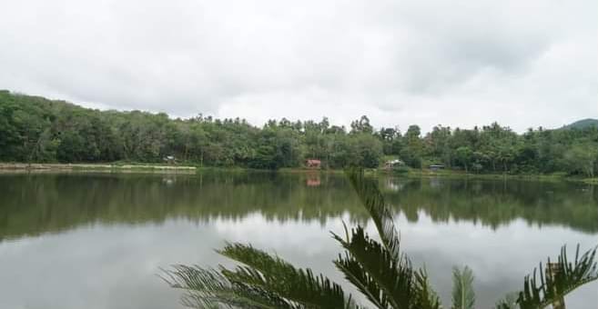 talago biru