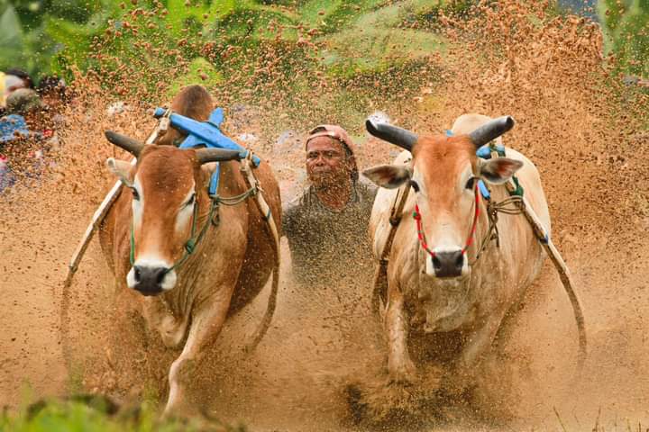 FB IMG 1666527231705